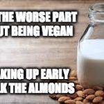 Actually it's probably no bacon. | I BET THE WORSE PART ABOUT BEING VEGAN; IS WAKING UP EARLY TO MILK THE ALMONDS | image tagged in almond milk,vegan,bacon,milk | made w/ Imgflip meme maker