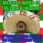 The Wind Blueberry Hard! | MEXICAN WORD OF THE DAY: BLUEBERRY; MY WINDOW BROKE BECAUSE THE WIND BLUEBERRY HARD! | image tagged in mexican word of the day,memes,funny,bad pun,blueberry,happy mexican | made w/ Imgflip meme maker