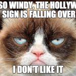 grumpy cat | IT'S SO WINDY, THE HOLLYWOOD SIGN IS FALLING OVER; I DON'T LIKE IT | image tagged in grumpy cat | made w/ Imgflip meme maker