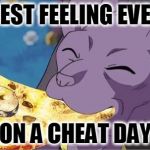 Beerus | BEST FEELING EVER; ON A CHEAT DAY | image tagged in beerus,anime,cheatday,pizza,bills,dragonball super | made w/ Imgflip meme maker