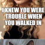 Grumpy cat is trouble | I KNEW YOU WERE TROUBLE WHEN YOU WALKED IN; GOOD | image tagged in grumpy cat on taylor swift as nyc's  global welcome ambassador | made w/ Imgflip meme maker