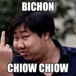 Chinese middle finger | BICHON; CHIOW CHIOW | image tagged in chinese middle finger | made w/ Imgflip meme maker