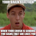 Adam Sandler mouth dropped | YOUR BRAIN REACTION; WHEN YOUR CRUSH IS SENDING YOU SIGNS THAT SHE LIKES YOU | image tagged in adam sandler mouth dropped | made w/ Imgflip meme maker