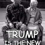 Punk Angel | TRUMP; IS THE NEW; PUNK | image tagged in punk angel | made w/ Imgflip meme maker