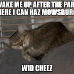 Wake Me Up Cat | WAKE ME UP AFTER THE PART WHERE I CAN HAZ MOWSBURGER; WID CHEEZ | image tagged in wake me up cat | made w/ Imgflip meme maker
