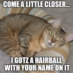 Sour Cat | COME A LITTLE CLOSER... I GOTZ A HAIRBALL WITH YOUR NAME ON IT | image tagged in sour cat | made w/ Imgflip meme maker