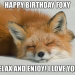 Sleeping fox | HAPPY BIRTHDAY FOXY; RELAX AND ENJOY!
I LOVE YOU! | image tagged in sleeping fox | made w/ Imgflip meme maker
