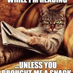 cat reading Meme Generator - Imgflip