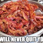 Never ever. | I WILL NEVER QUIT YOU | image tagged in bacon,quit | made w/ Imgflip meme maker