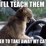 catsale | I'LL TEACH THEM; NEVER TO TAKE AWAY MY CATNIP | image tagged in catsale | made w/ Imgflip meme maker