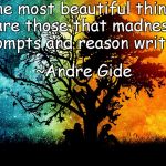 Night And Day | The most beautiful things are those that madness prompts and reason writes.”; ~Andre Gide | image tagged in andre gide,beauty,madness,reason,writing | made w/ Imgflip meme maker