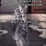 Catiger | “Look well into thyself; there is a source of strength which will always spring up if thou wilt always look.”; ~Marcus Aurelius | image tagged in marcus aurelius,strength,confidence,hidden power,self knowledge | made w/ Imgflip meme maker