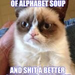 Angry Cat | I COULD EAT A BOWL OF ALPHABET SOUP; AND SHIT A BETTER ARGUMENT THAN THAT | image tagged in angry cat | made w/ Imgflip meme maker
