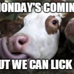 Lick it | MONDAY'S COMING; BUT WE CAN LICK IT | image tagged in lick it | made w/ Imgflip meme maker