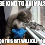 Gun cat  | BE KIND TO ANIMALS; OR THIS CAT WILL KILL YOU. | image tagged in gun cat | made w/ Imgflip meme maker