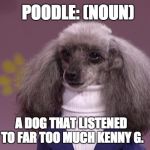 Turtleneck Poodle  | POODLE: (NOUN); A DOG THAT LISTENED TO FAR TOO MUCH KENNY G. | image tagged in turtleneck poodle | made w/ Imgflip meme maker
