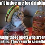 After this he will take a four hour siesta. | Don't judge me for drinking... Judge those idiots who aren't drinking. They're up to something. | image tagged in tequila,funny meme,cat | made w/ Imgflip meme maker