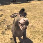 Donkey meme