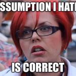 Big Red Feminist | THE ASSUMPTION I HATE MEN; IS CORRECT | image tagged in big red feminist | made w/ Imgflip meme maker
