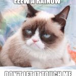 Grumpy Cat | EEEW A RAINOW; DON'T LET IT TOUCH ME | image tagged in grumpy cat | made w/ Imgflip meme maker