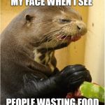 patron seal | MY FACE WHEN I SEE; PEOPLE WASTING FOOD | image tagged in patron seal | made w/ Imgflip meme maker
