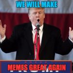 Make memes great again | WE WILL MAKE; MEMES GREAT AGAIN | image tagged in make america great again | made w/ Imgflip meme maker