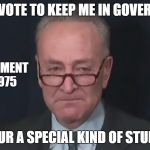 Schumer Pussy | IF YOU VOTE TO KEEP ME IN GOVERNMENT; IN GOVERNMENT SINCE 1975; YOUR A SPECIAL KIND OF STUPID | image tagged in schumer pussy | made w/ Imgflip meme maker