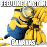 Minion Bananas | I FEEL LIKE I'M GOING; BANANAS | image tagged in minion bananas | made w/ Imgflip meme maker