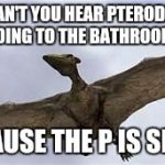 P is silent... | WHY CAN'T YOU HEAR PTERODACTYLS GOING TO THE BATHROOM? BECAUSE THE P IS SILENT | image tagged in pterodactyls,memes,bathroom humor,funny | made w/ Imgflip meme maker