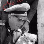 Nazi Kittens | SAVE US! WERE JEWISH KITTENS!! | image tagged in nazi kittens | made w/ Imgflip meme maker