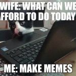 Disappointed Tech Support Cat | WIFE: WHAT CAN WE AFFORD TO DO TODAY ? ME: MAKE MEMES | image tagged in disappointed tech support cat | made w/ Imgflip meme maker