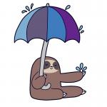 sloth with an umbrella meme