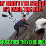 You get it Mr. rock climber?? | WHY DIDN'T THE SEAGULLS FLY OVER THE BAY? BECAUSE THEN THEY'D BE BAGELS! | image tagged in angry birds,memes,funny,corny joke,seagulls | made w/ Imgflip meme maker