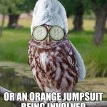 Today was a good day | I SURVIVED ANOTHER DAY WITHOUT A STRAIGHT JACKET; OR AN ORANGE JUMPSUIT BEING INVOLVED. TODAY WAS A GOOD DAY... | image tagged in relax owl,crazy,straight jacket,insane,today was a good day,prison | made w/ Imgflip meme maker