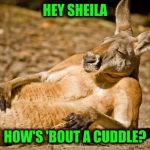 Romeo | HEY SHEILA; HOW'S 'BOUT A CUDDLE? | image tagged in relaxed dude | made w/ Imgflip meme maker
