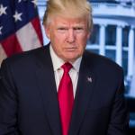 President Trump Official Portrait  meme