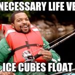 Ice Cube are we there yet | UNNECESSARY LIFE VEST; ICE CUBES FLOAT | image tagged in ice cube are we there yet | made w/ Imgflip meme maker