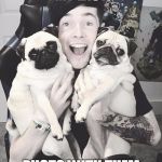 DanTDM and the pugs | MY LAST; PHOTO WITH THEM | image tagged in dantdm and the pugs | made w/ Imgflip meme maker