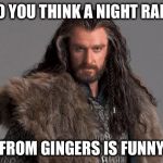 Thorin | DO YOU THINK A NIGHT RAID; FROM GINGERS IS FUNNY | image tagged in thorin | made w/ Imgflip meme maker