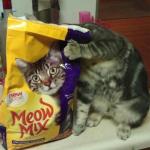 Meow Mix