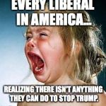 Elections have consequences, and it's far past time to take your medicine. | EVERY LIBERAL IN AMERICA... REALIZING THERE ISN'T ANYTHING THEY CAN DO TO STOP TRUMP. | image tagged in 2017,scotus,neil gorsuch,nuclear,option,senate | made w/ Imgflip meme maker