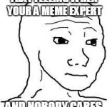Feels | THAT FEELING WHEN YOUR A MEME EXPERT AND NOBODY CARES | image tagged in feels | made w/ Imgflip meme maker