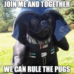 Darth Pug | JOIN ME AND TOGETHER; WE CAN RULE THE PUGS | image tagged in darth pug | made w/ Imgflip meme maker