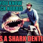 Chuck Norris Swims with Sharks | DID YOU KNOW CHUCK NORRIS; WAS A SHARK DENTIST? | image tagged in chuck norris,animals,sharks,memes,chuck norris week,funny | made w/ Imgflip meme maker