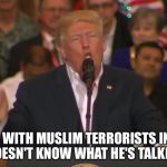 Trump Sweden  | PROBLEMS WITH MUSLIM TERRORISTS IN SWEDEN? TRUMP DOESN'T KNOW WHAT HE'S TALKING ABOUT. | image tagged in trump sweden | made w/ Imgflip meme maker
