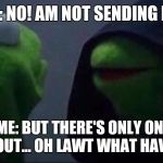 Kermit Hoodie | ME: NO! AM NOT SENDING IT... ALSO ME: BUT THERE'S ONLY ONE WAY TO FIND OUT... OH LAWT WHAT HAVE I DONE! | image tagged in kermit hoodie | made w/ Imgflip meme maker