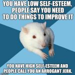 I mean, is it really the end of the world if someone's self-esteem is low? | YOU HAVE LOW SELF-ESTEEM, PEOPLE SAY YOU NEED TO DO THINGS TO IMPROVE IT; YOU HAVE HIGH SELF-ESTEEM AND PEOPLE CALL YOU AN ARROGANT JERK. | image tagged in psychology major rat | made w/ Imgflip meme maker