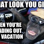 Looking forward to a good one this year | THAT LOOK YOU GIVE; WHEN YOU'RE HEADING OUT FOR VACATION | image tagged in monkey driver,vacation,the look you give | made w/ Imgflip meme maker