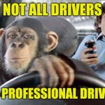 When you need a lift | NOT ALL DRIVERS; ARE PROFESSIONAL DRIVERS | image tagged in monkey cab driver,cab drivers,uber drivers,lyft drivers | made w/ Imgflip meme maker