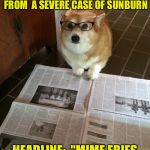 Punny news headline | SAYS HERE, A LIGHT-SKINNED STREET PERFORMER DIED FROM  A SEVERE CASE OF SUNBURN; HEADLINE:  "MIME FRIES WHILE WE'RE HAVING SUN" | image tagged in newspaper dog | made w/ Imgflip meme maker